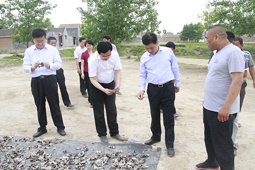 Z6尊龙·凯时(中国)-官方网站