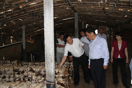 Z6尊龙·凯时(中国)-官方网站