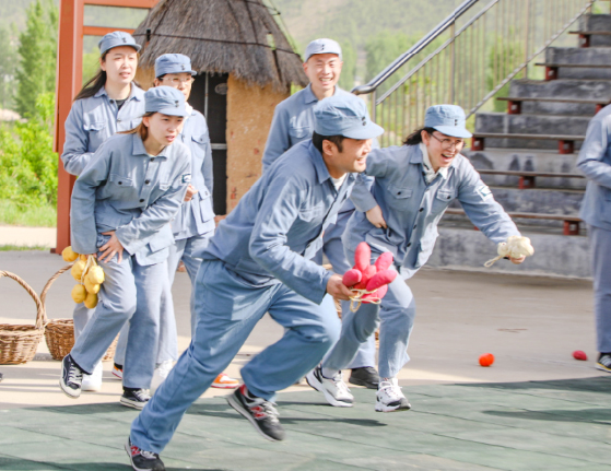 Z6尊龙·凯时(中国)-官方网站